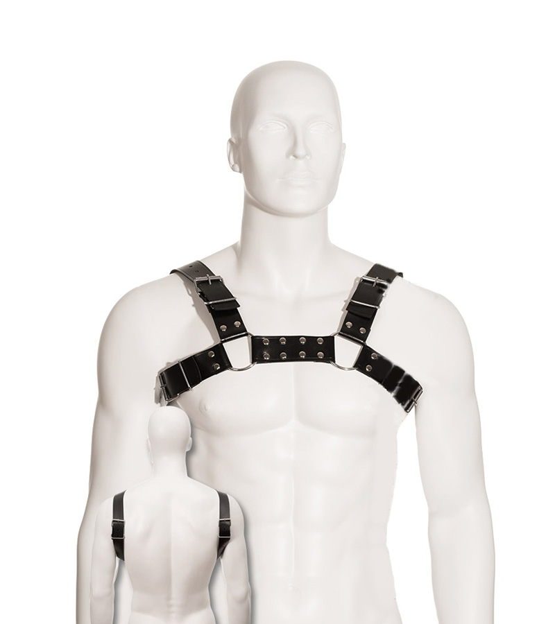 Bull Dog Harness 