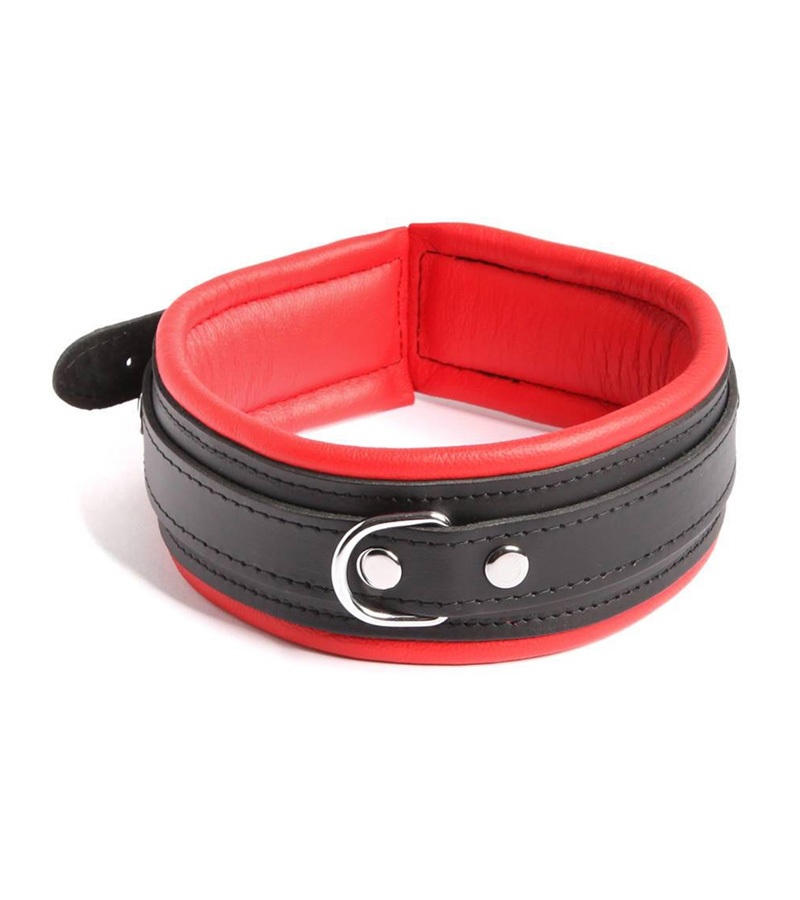 Premium Padded Collar - RED/BLACK
